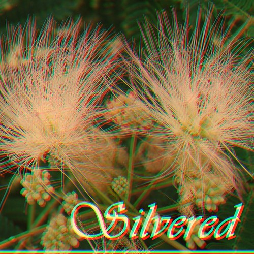 Silvered