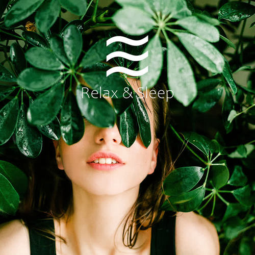 Soothing Senses Noise Spring Collection