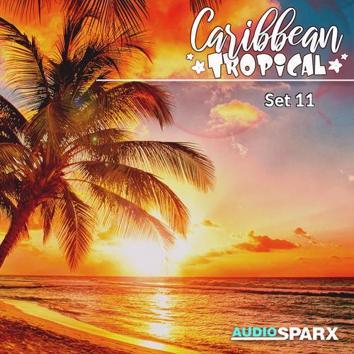 Caribbean Tropical, Set 11