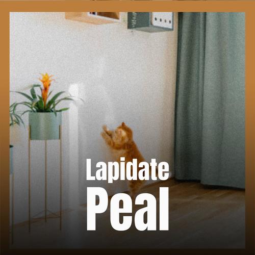 Lapidate Peal