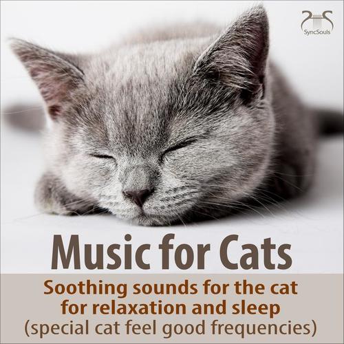 Music for Cats - Soothing Sounds for the Cat for Relaxation and Sleep (Special Cat Feel Good Frequencies)