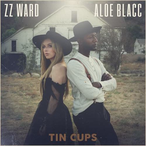 Tin Cups