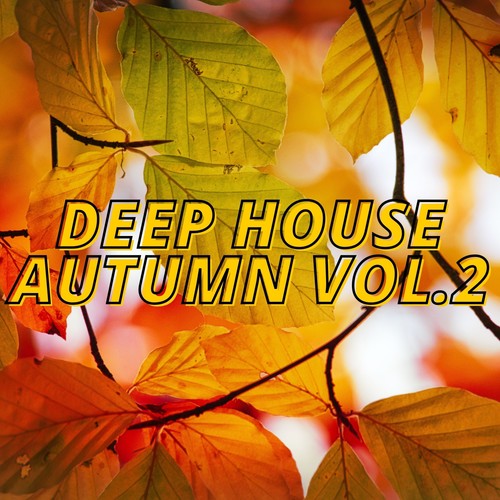 Deep House Autumn Vol.2