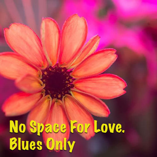 No Space For Love. Blues Only