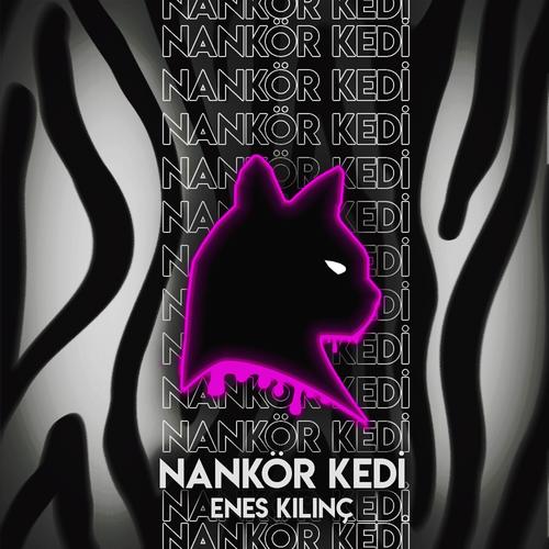 Nankör Kedi