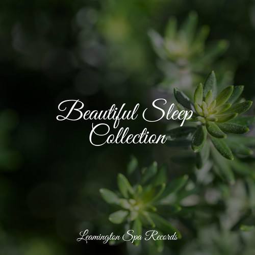 Beautiful Sleep Collection