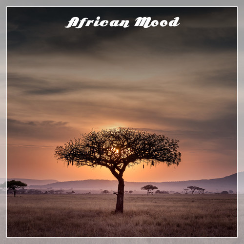 African Mood (Various Artists)