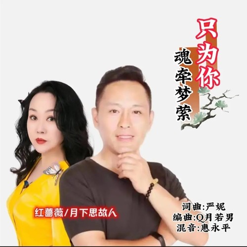 魂牵梦萦只为你（对唱版）