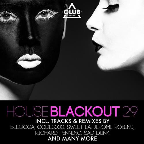 House Blackout, Vol. 29 (Explicit)