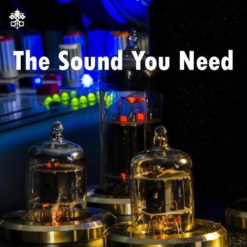 The Sound You Need