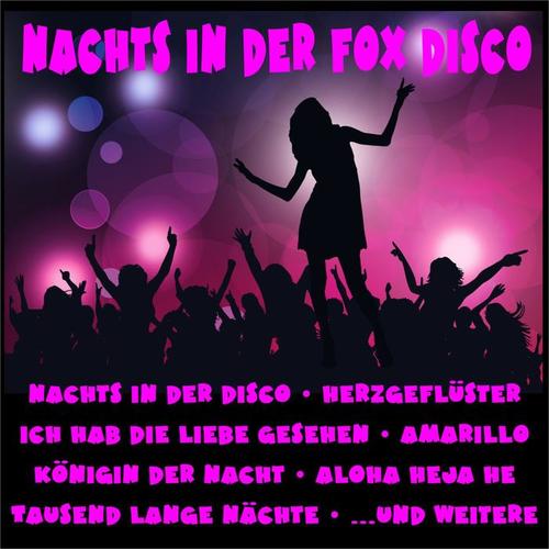 Nachts in der Fox Disco