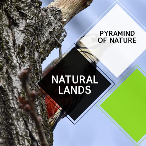 Natural Lands - Pyramind Of Nature