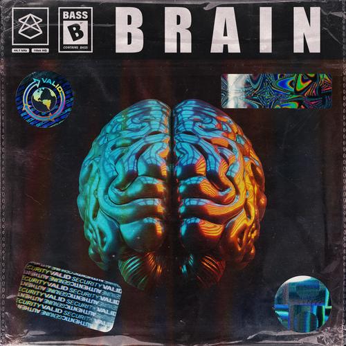 Brain (Explicit)