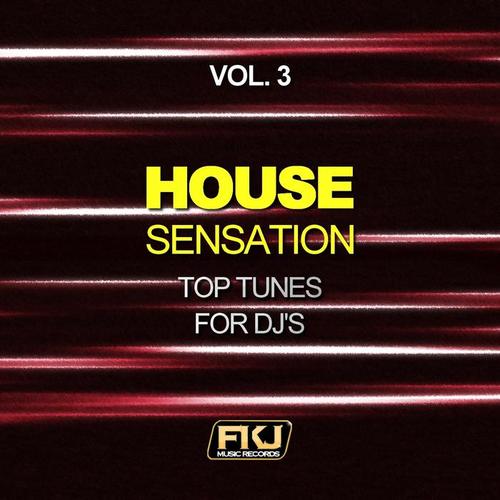 House Sensation, Vol. 3 (Top Tunes for DJ's)