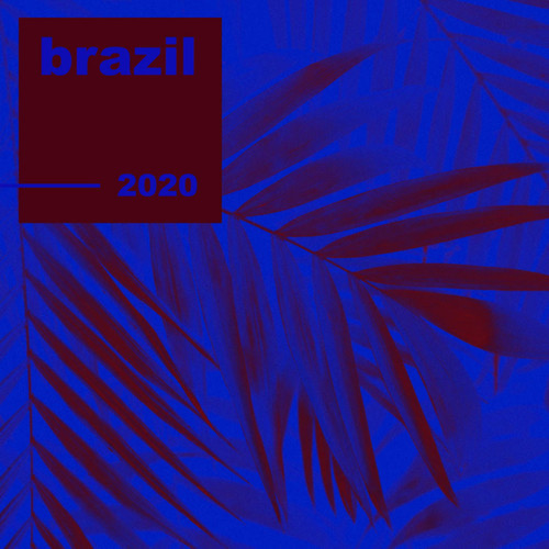 Brazil 2020 (Explicit)