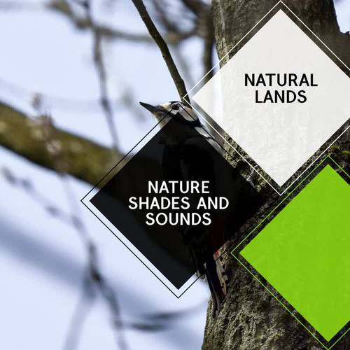 Nature Shades and Sounds - Natural Lands