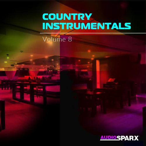 Country Instrumentals Volume 8