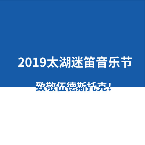 2019太湖迷笛音乐节