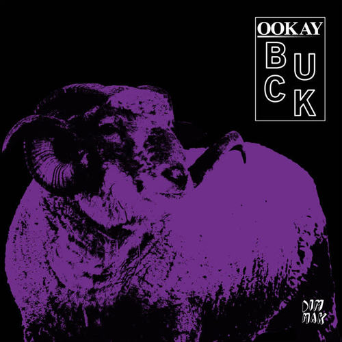 Buck (Explicit)