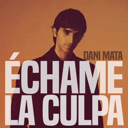 Échame la Culpa (Pop Version)