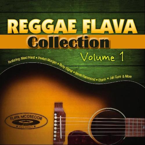 Reggae Flava Collection Vol.1