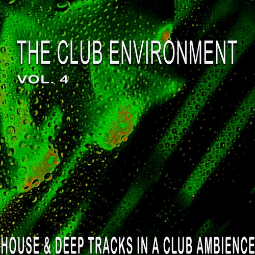 The Club Environment, Vol. 4