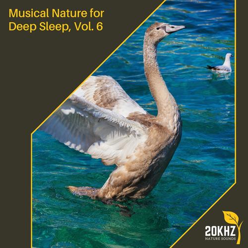 Musical Nature for Deep Sleep, Vol. 6