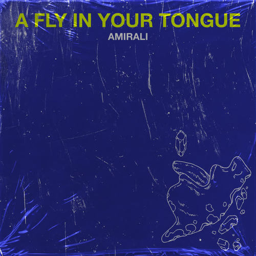 A Fly in Your Tongue