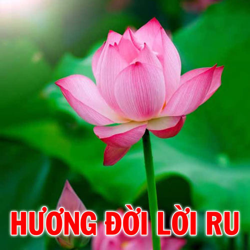 Hương đời lời ru