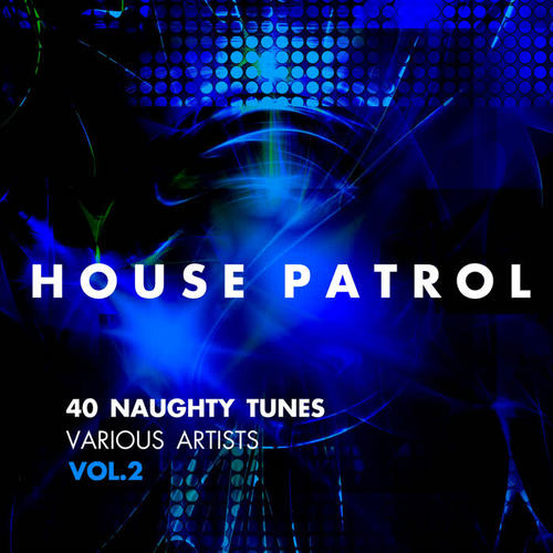 House Patrol (40 Naughty Tunes) , Vol. 2