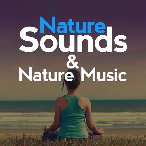 Nature Sounds & Nature Music