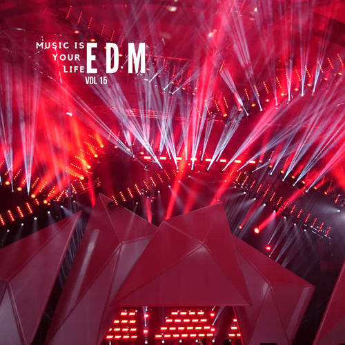 Music Is Your Life EDM, Vol.15