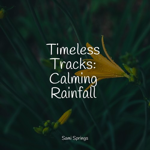 Timeless Tracks: Calming Rainfall