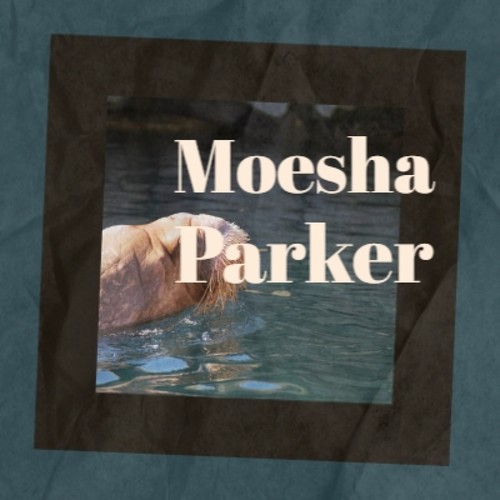 Moesha Parker