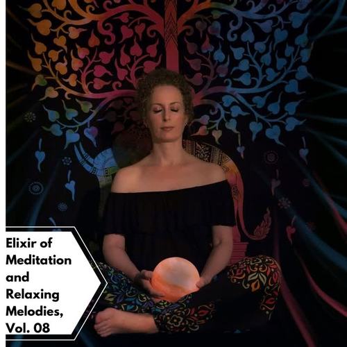 Elixir Of Meditation And Relaxing Melodies, Vol. 08