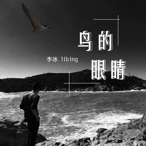 鸟的眼睛
