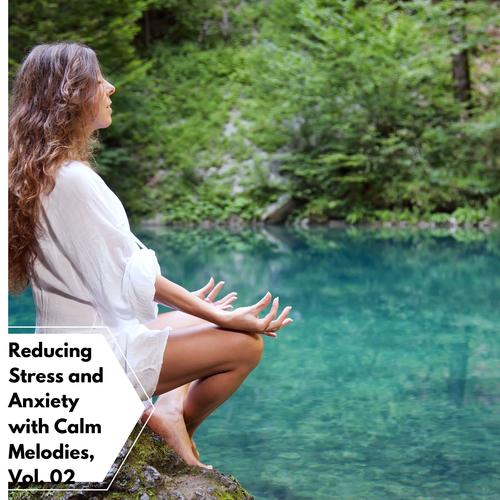 Reducing Stress And Anxiety With Calm Melodies, Vol. 02