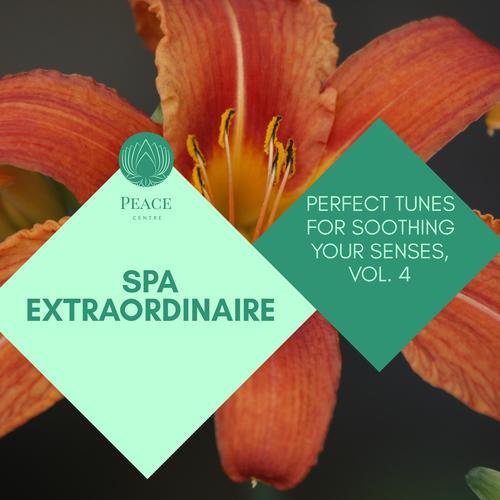 Spa Extraordinaire - Perfect Tunes For Soothing Your Senses, Vol. 4