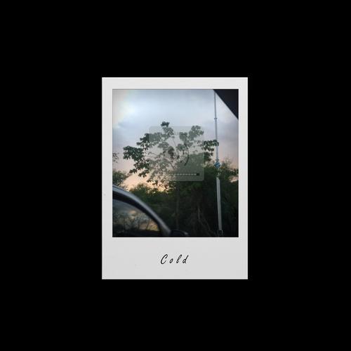 cold (feat. Anaaz & Zallard)