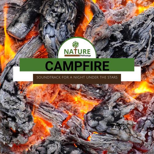 Campfire - Soundtrack for A Night Under The Stars