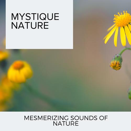 Mystique Nature - Mesmerizing Sounds of Nature