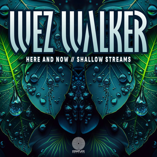 Here And Now // Shallow Streams