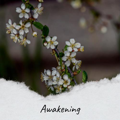 Awakening