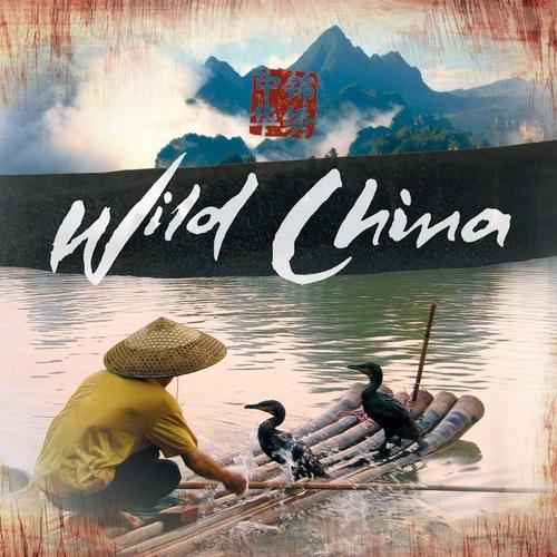 Wild China OST