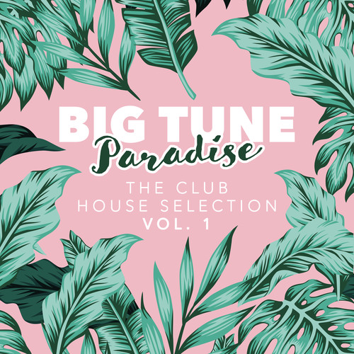 Big Tune Paradise - the Club House Selection, Vol. 1