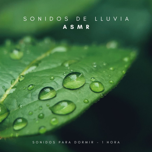 Sonidos De Lluvia ASMR: Sonidos Para Dormir - 1 Hora