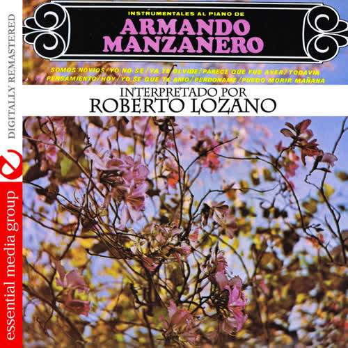 Instrumentales Al Piano De Armando Manzanero (Digitally Remastered)