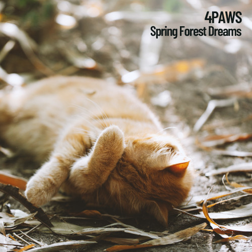 4Paws: Spring Forest Dreams