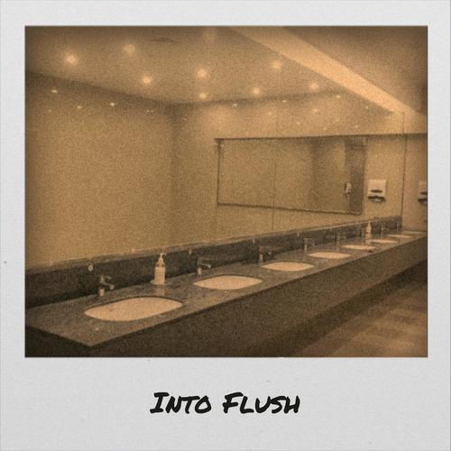 Into Flush