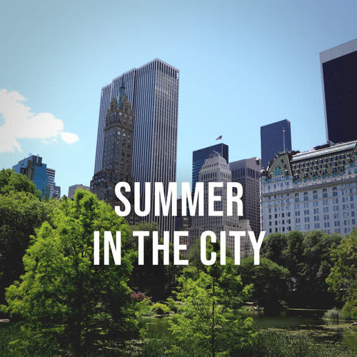 Summer in the City: Enjoy a Bright Summer Day in New York's Central Park, White Noise to Relax